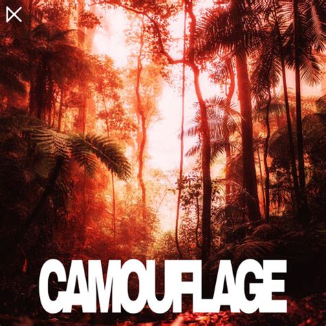 camouflage mp3